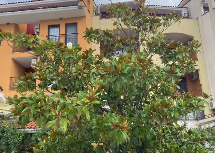 Art Marina Cape-private Host Ravda