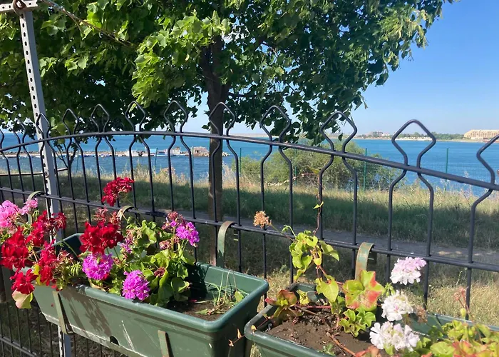 Appartamento Art Marina Cape-private Host